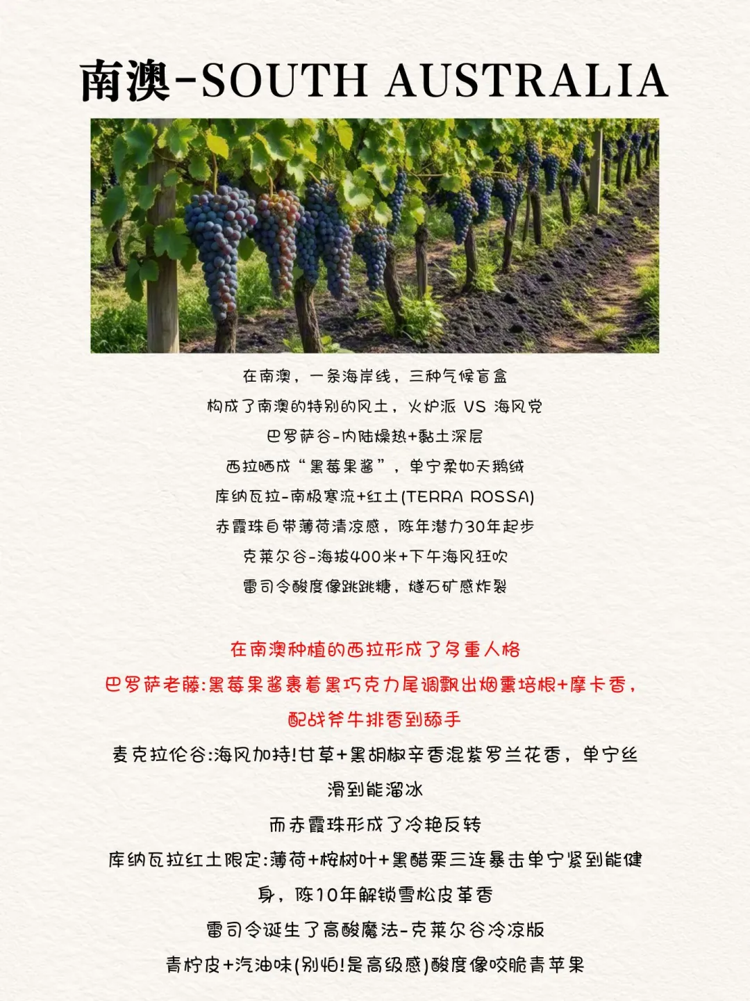 澳大利亚的葡萄酒产区！你知道哪些
