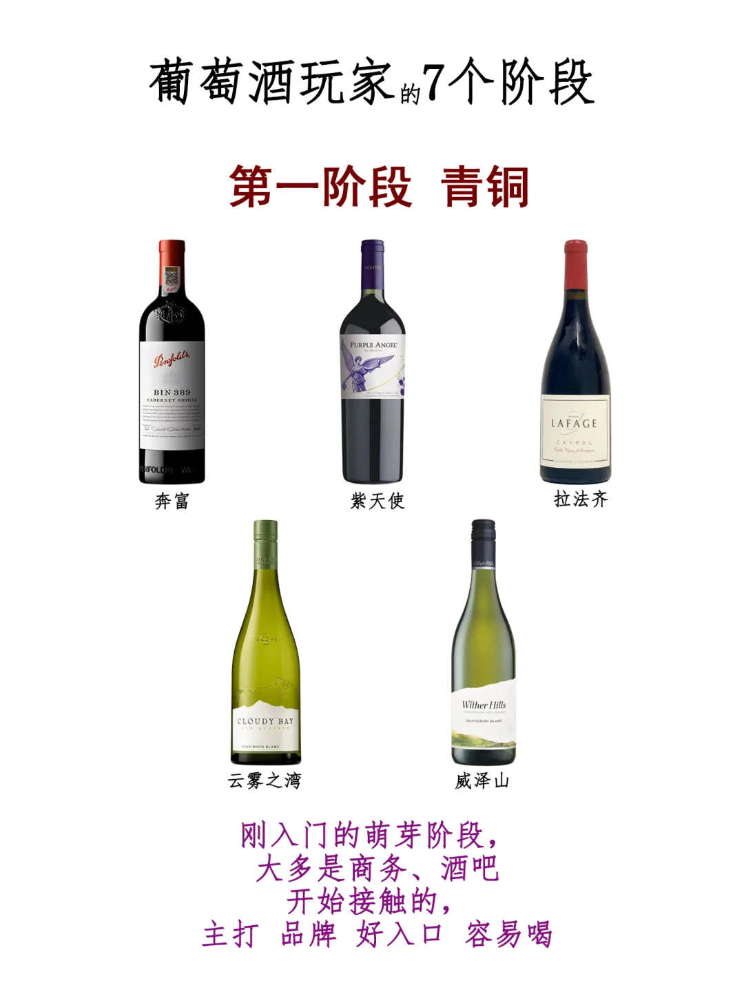 看看你喝葡萄酒在哪个段位！？我先来，我在……