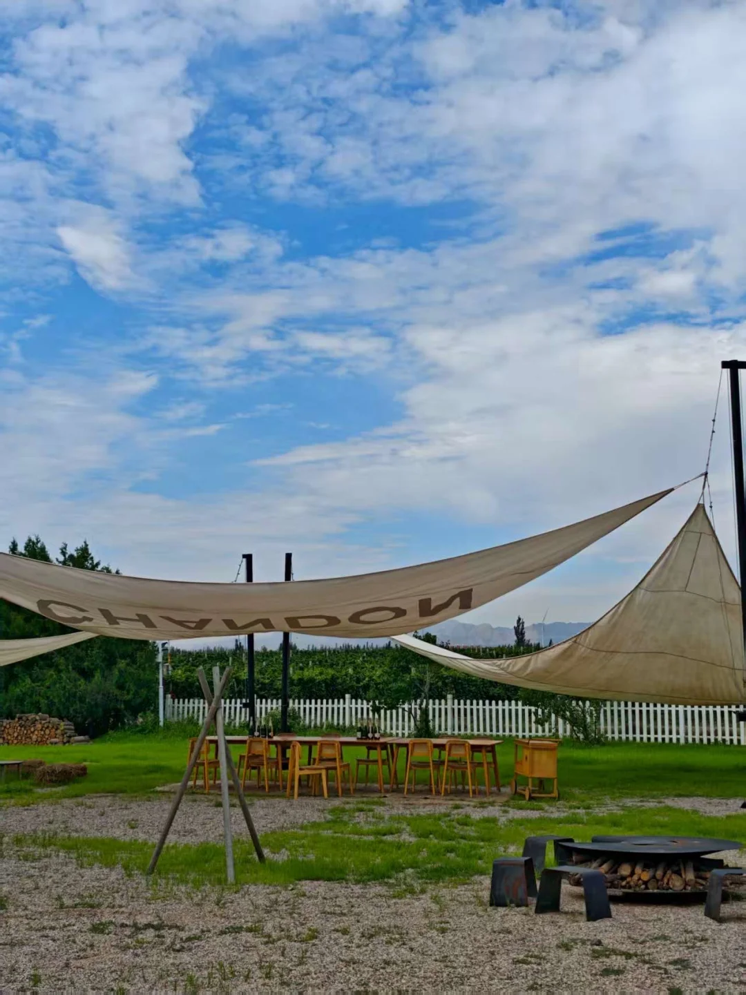 银川｜小众到不想分享的葡萄酒庄之旅?！