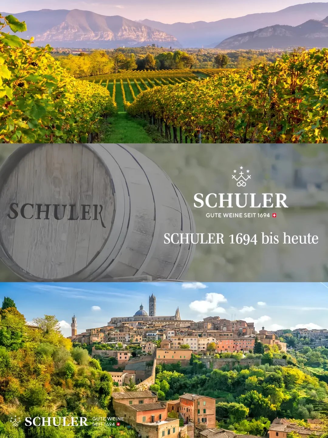 葡萄酒生存日历：职场人每日5分钟选酒指南