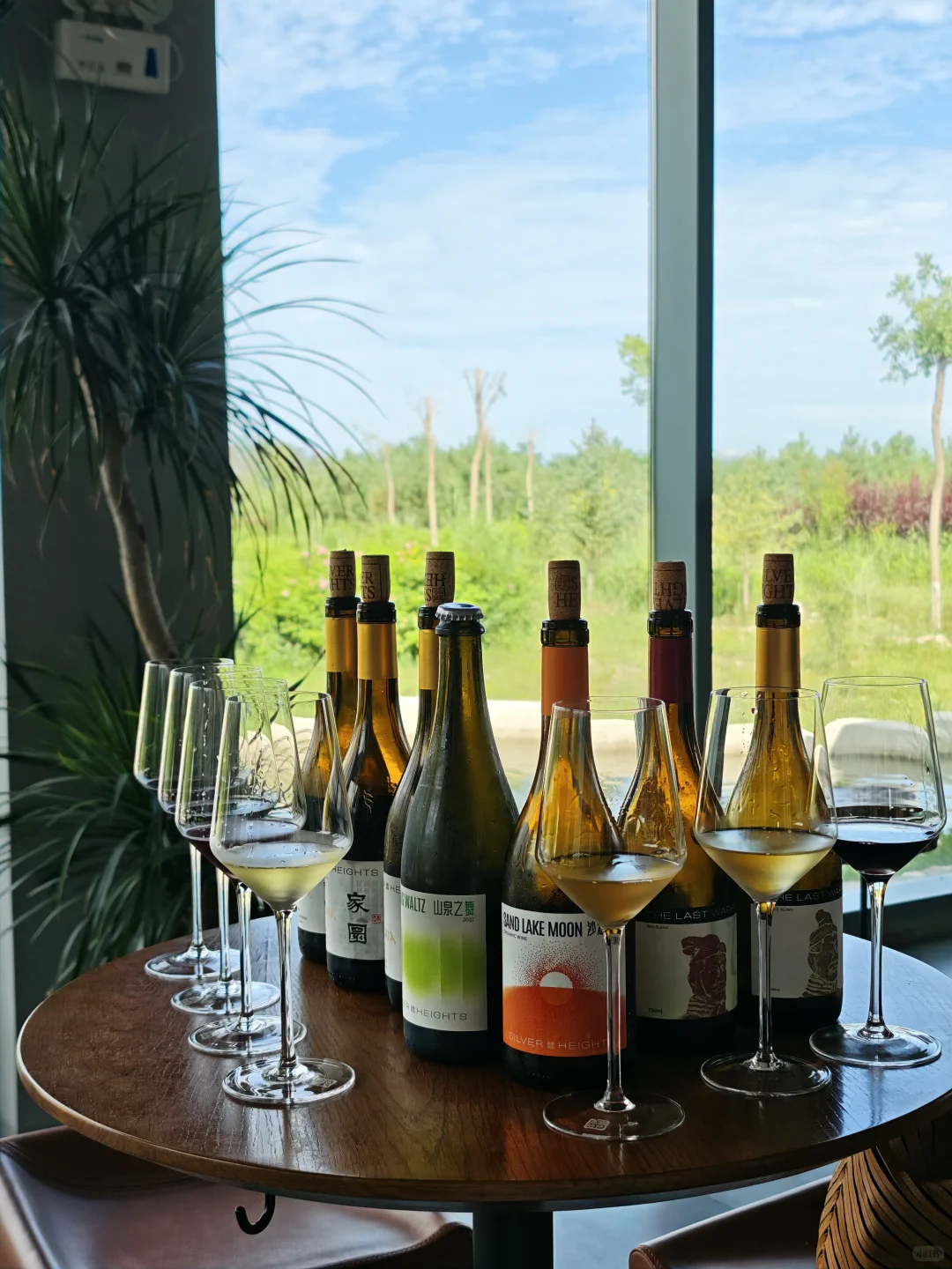 银川｜小众到不想分享的葡萄酒庄之旅?！