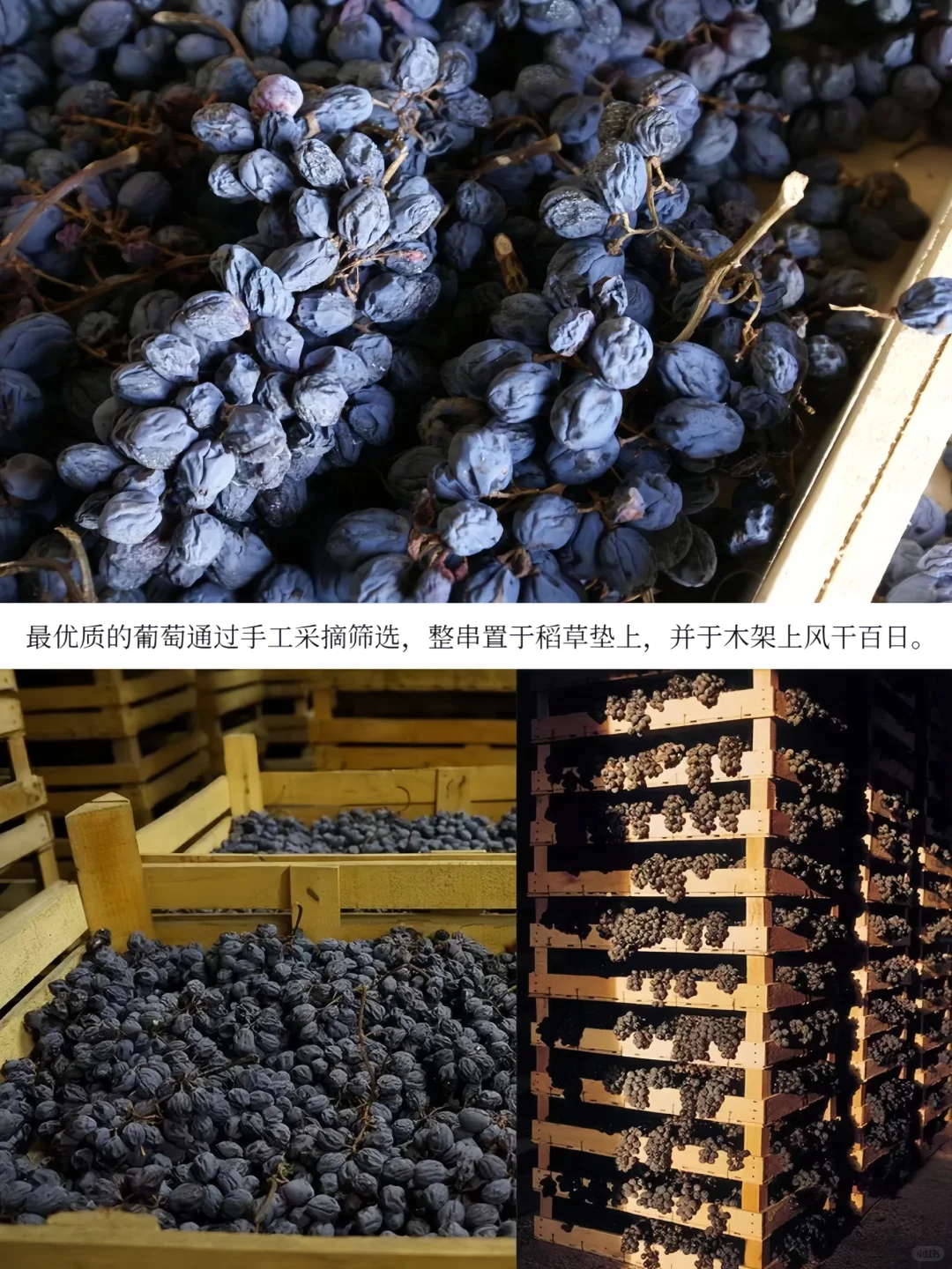 葡萄酒生存日历：职场人每日5分钟选酒指南