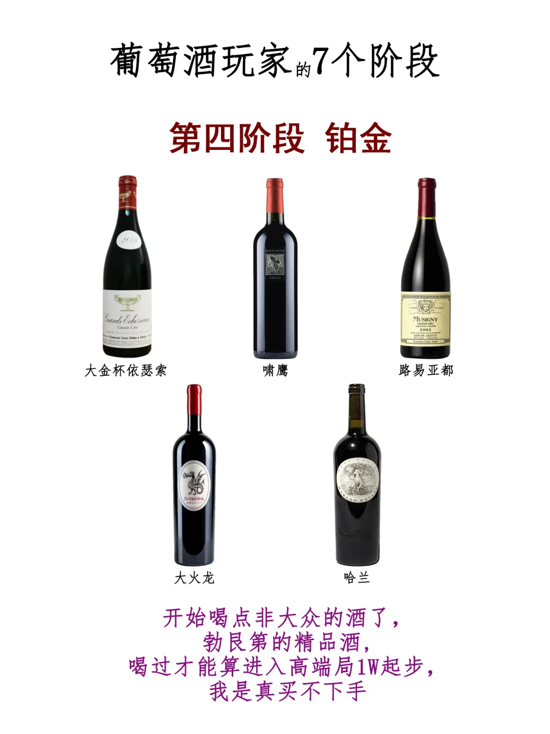 看看你喝葡萄酒在哪个段位！？我先来，我在……