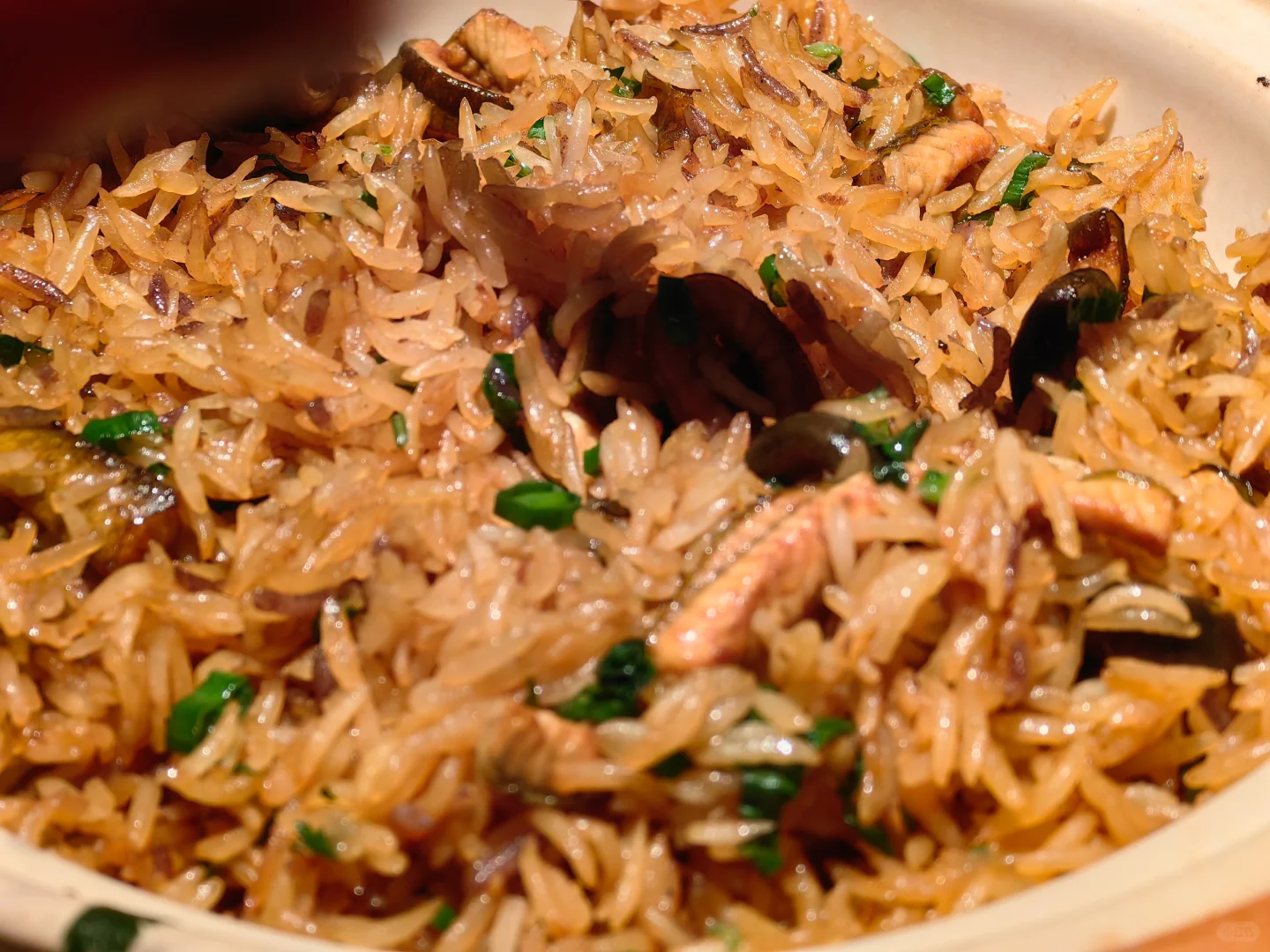 美国纳帕浪荡子Debauchee2021