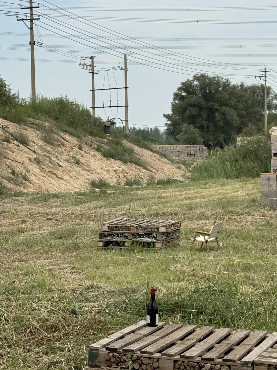 银川｜小众到不想分享的葡萄酒庄之旅?！