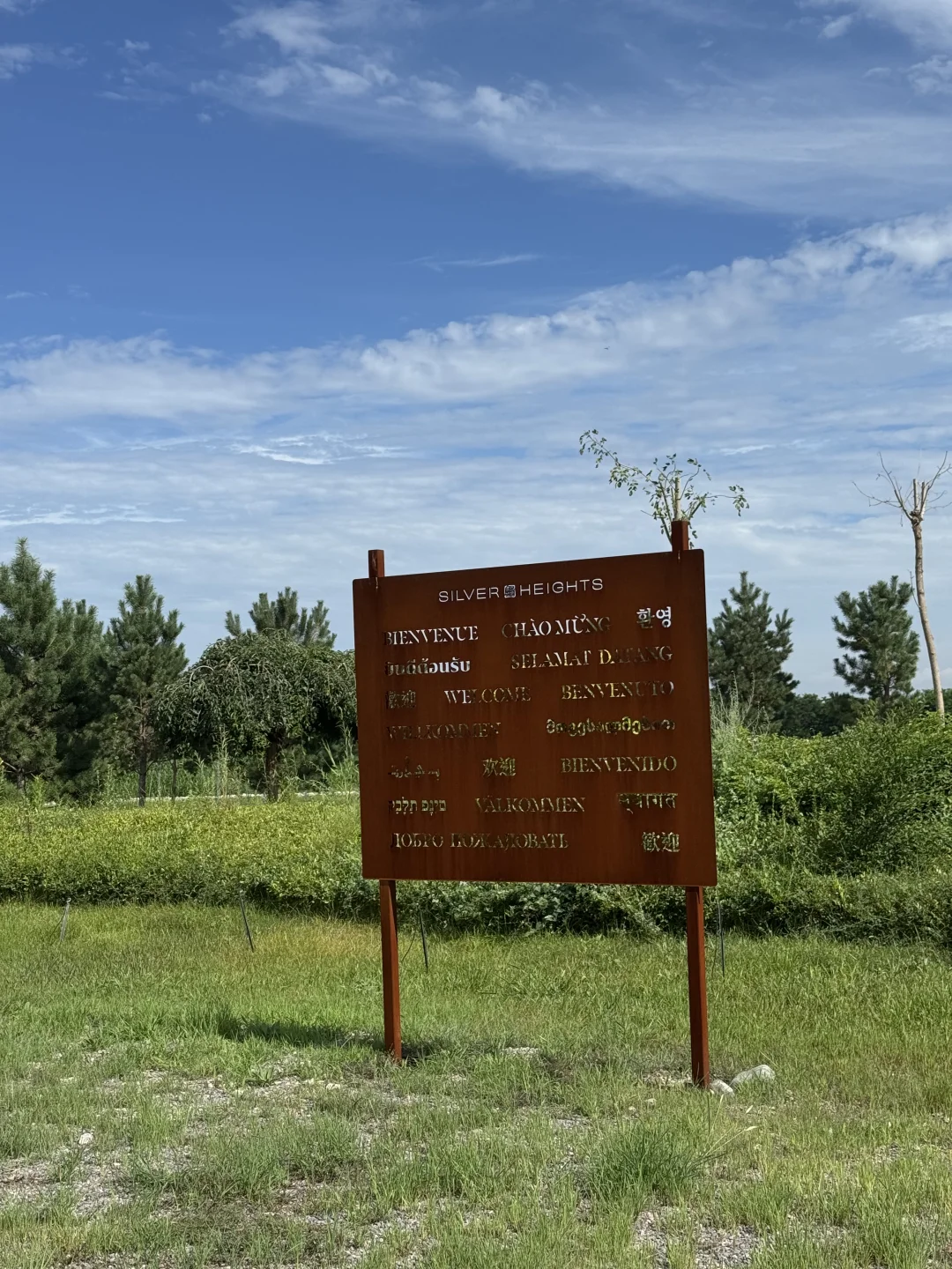 银川｜小众到不想分享的葡萄酒庄之旅?！