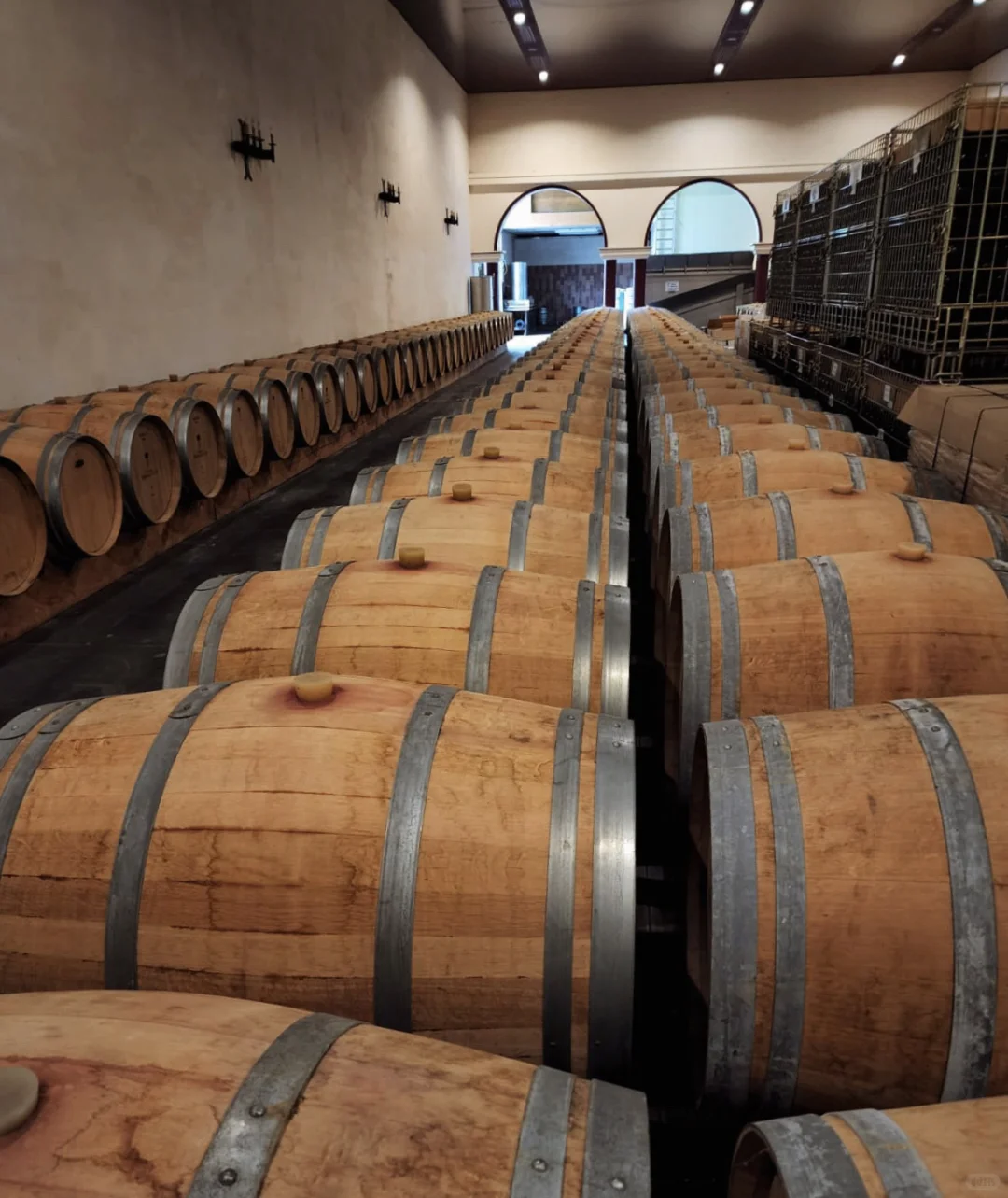 关于葡萄酒，我想从这里开始和你分享