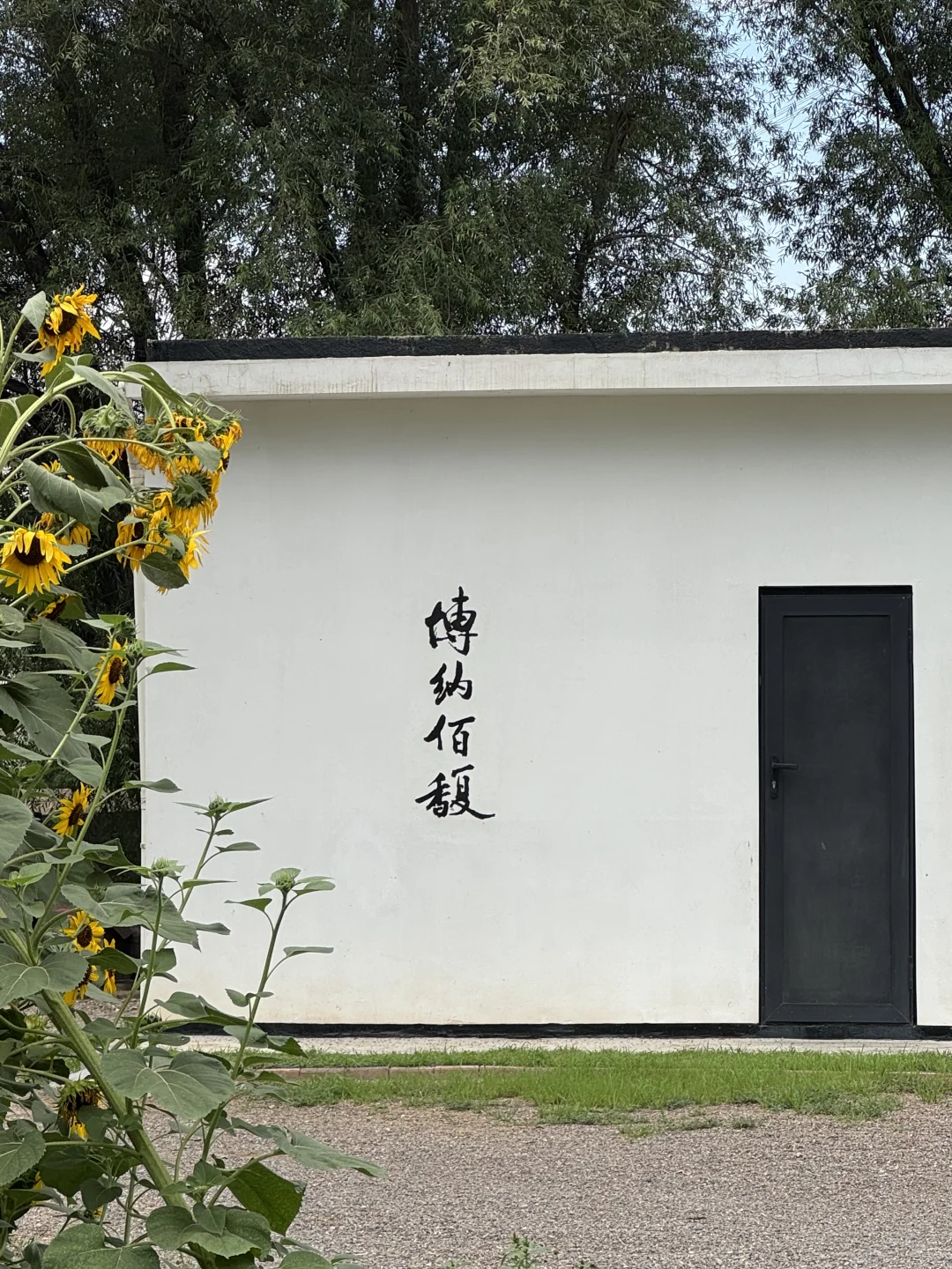 银川｜小众到不想分享的葡萄酒庄之旅?！