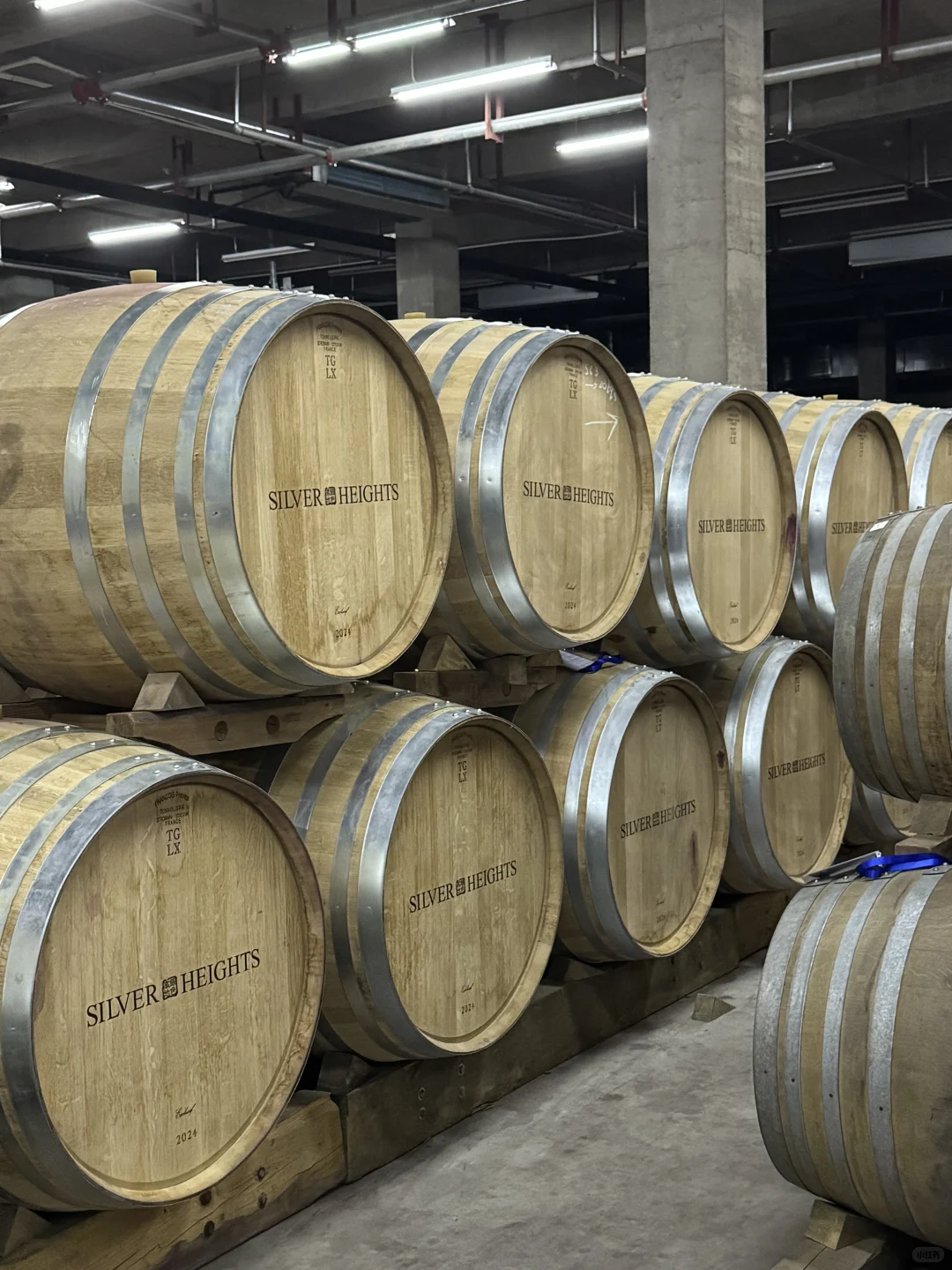 银川｜小众到不想分享的葡萄酒庄之旅?！