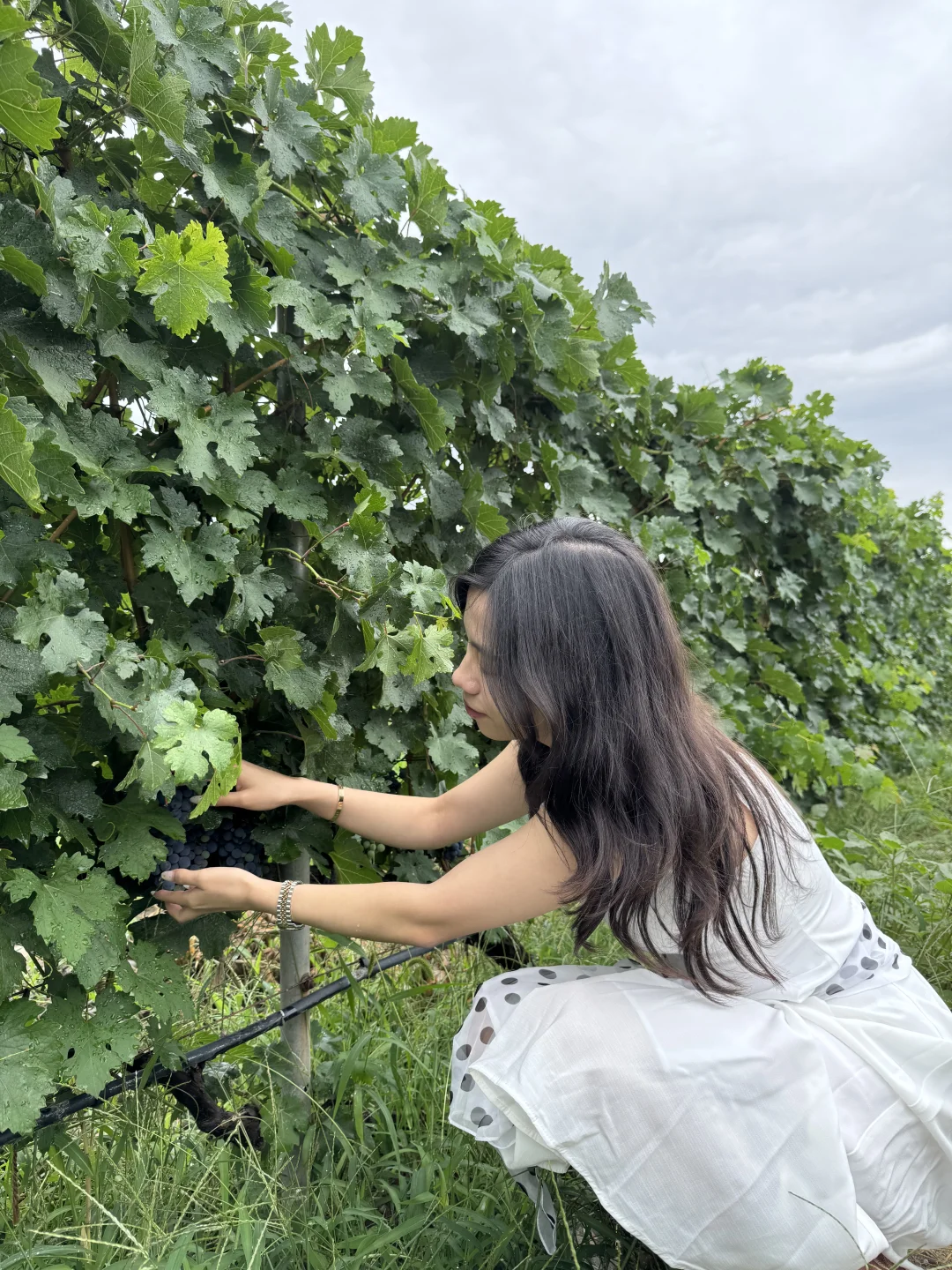 银川｜小众到不想分享的葡萄酒庄之旅?！