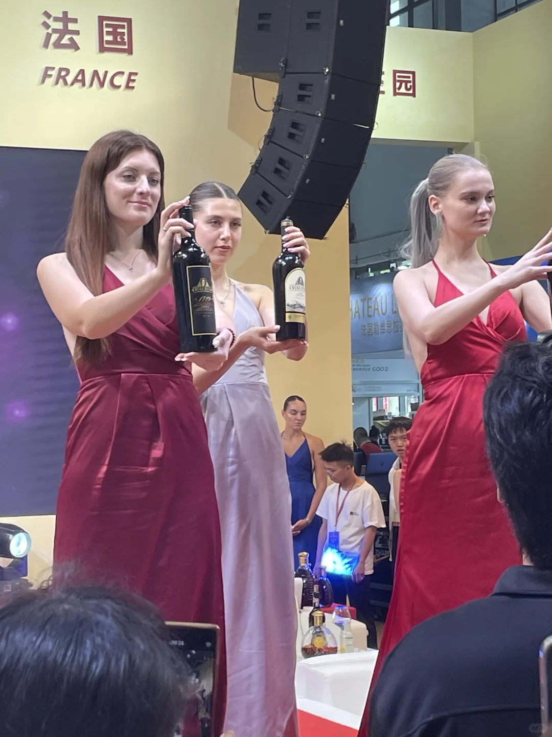 14届中国（贵州）国际酒博会上的法国模特儿