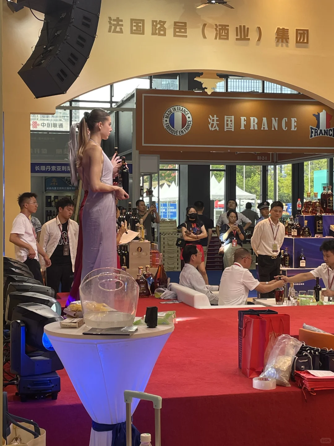 14届中国（贵州）国际酒博会上的法国模特儿