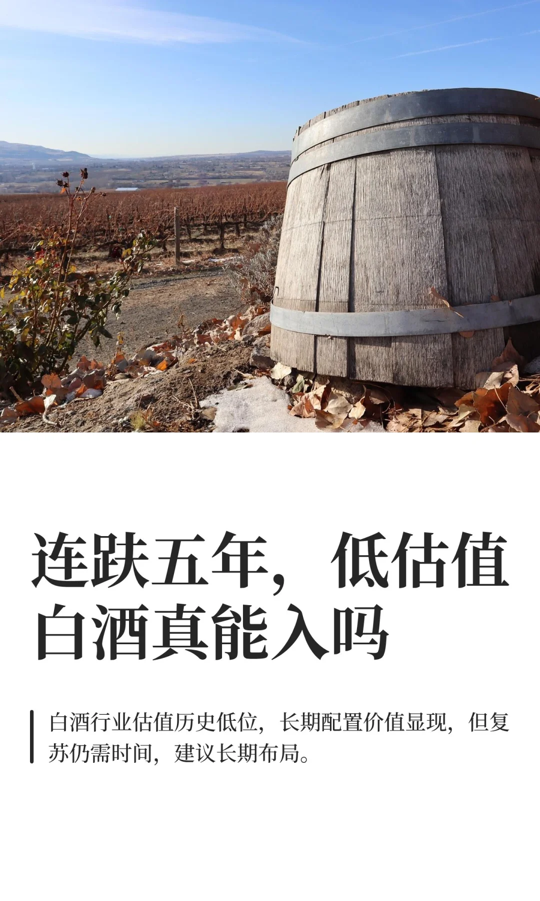 连趺五年，低估值白酒真能入吗