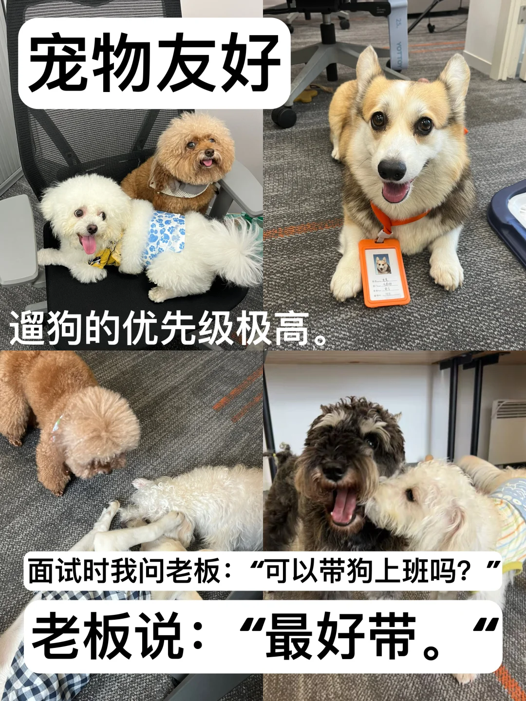 越往右滑，越震撼。。