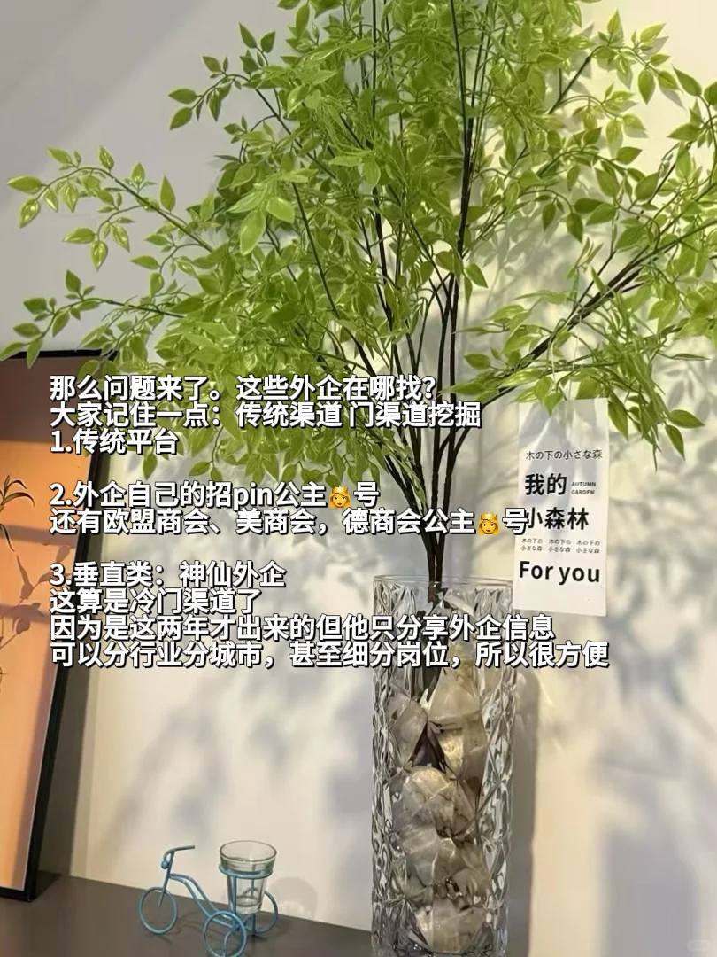 金九银十，有能力的去试试大健康外企