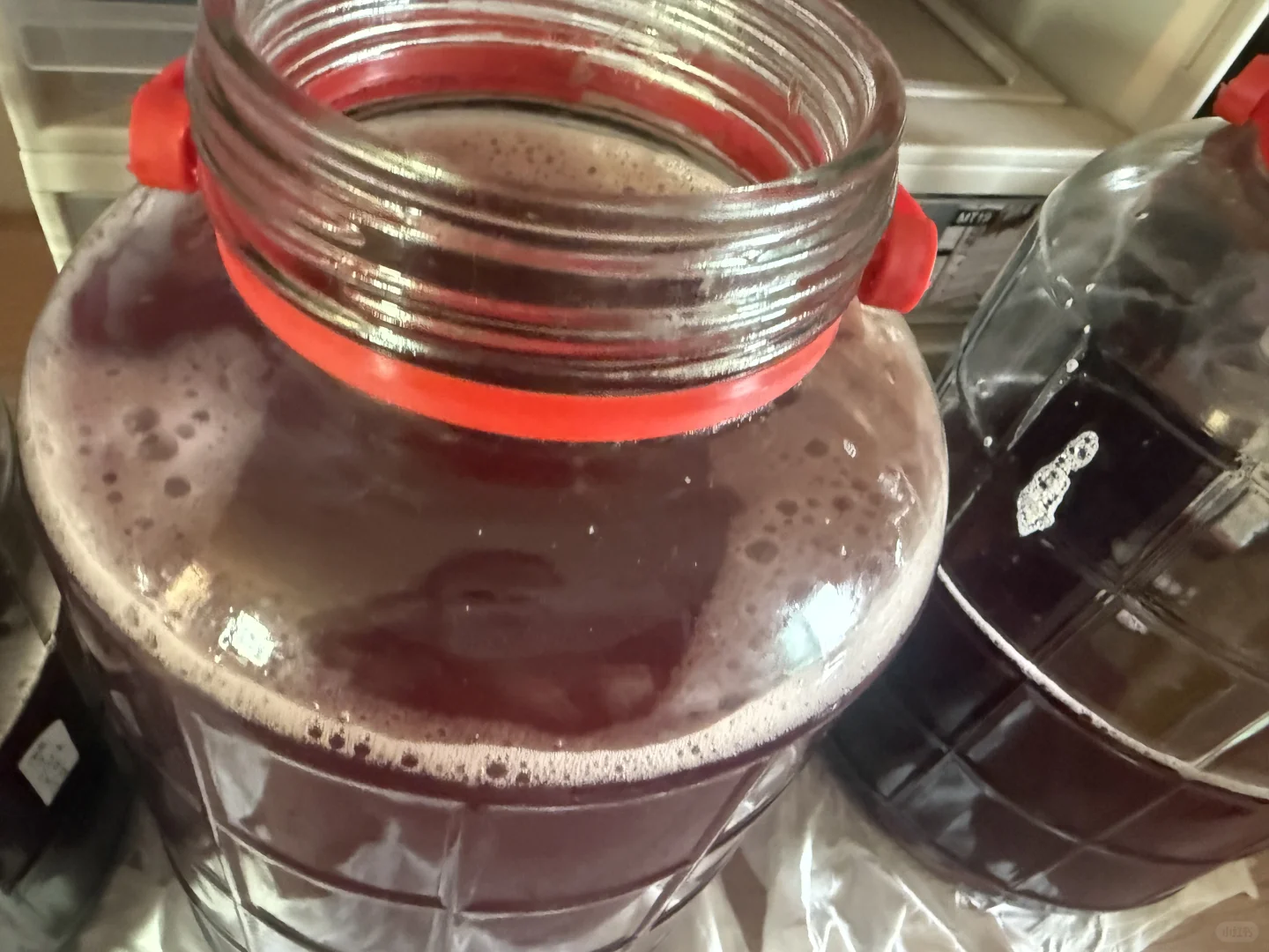 自酿葡萄酒｜第十六天发酵情况