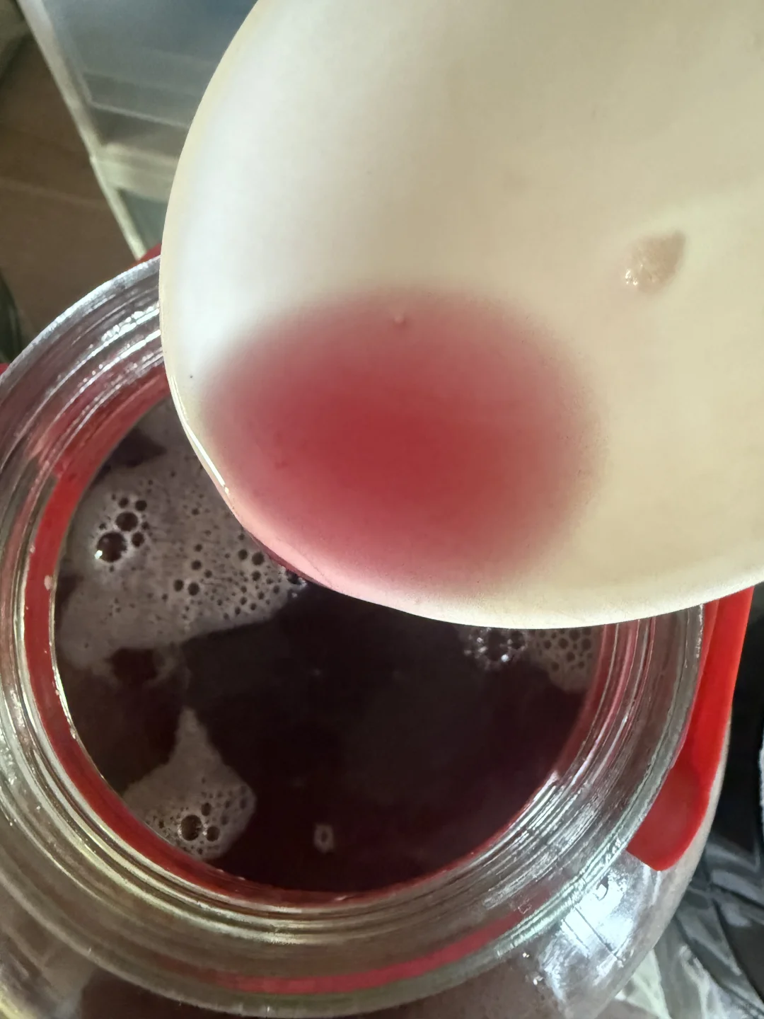 自酿葡萄酒｜第十六天发酵情况