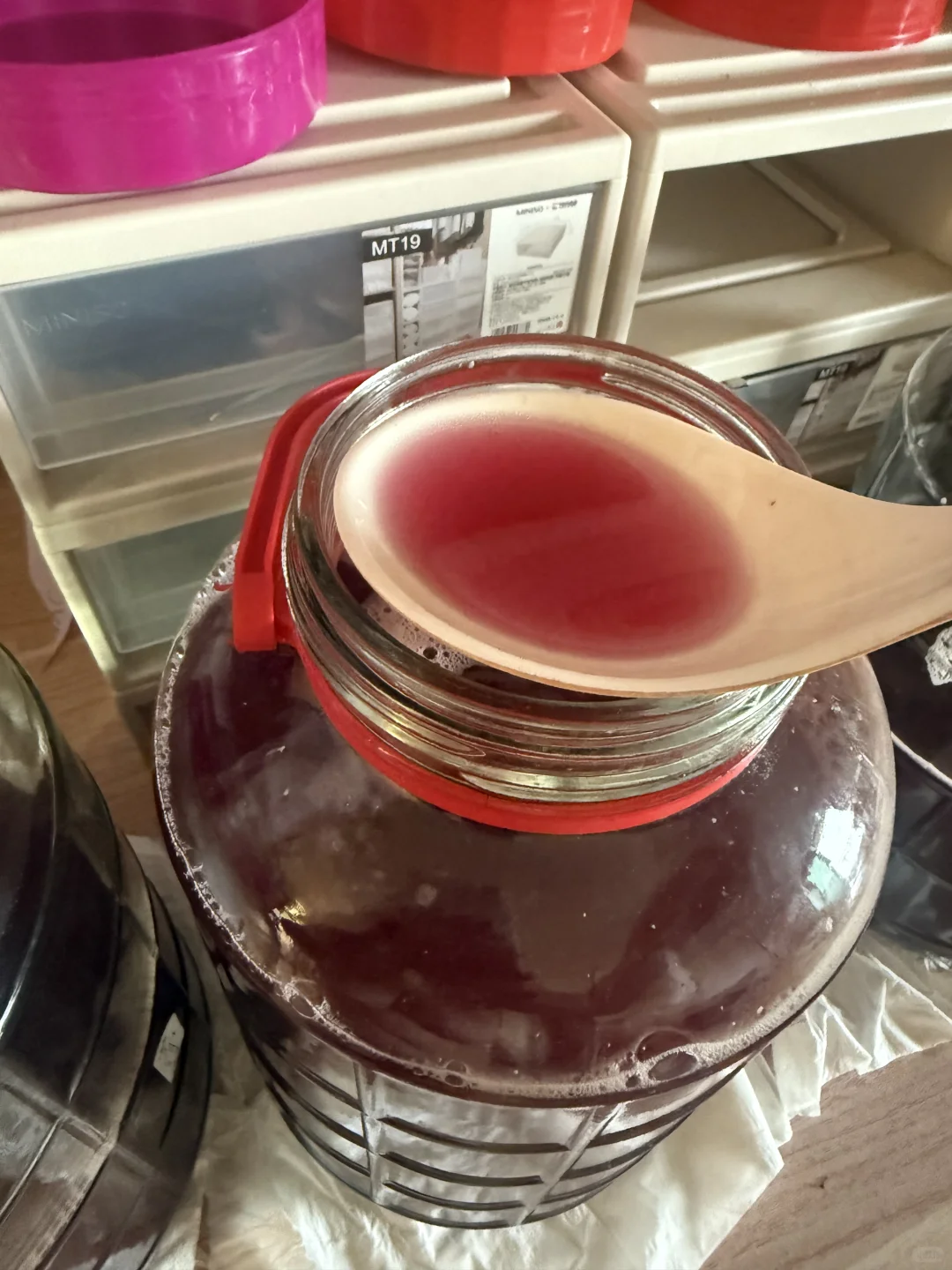 自酿葡萄酒｜第十六天发酵情况