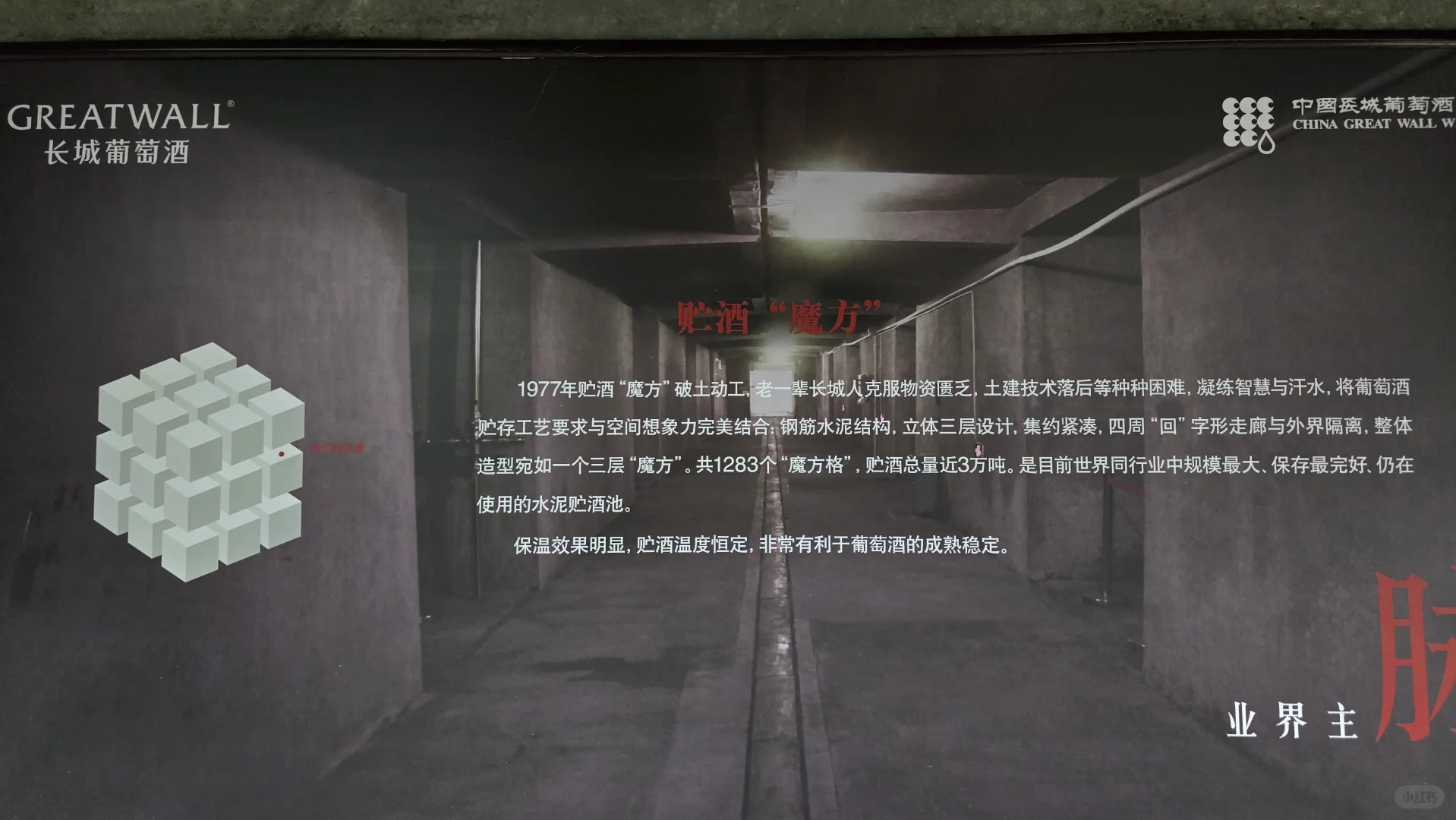 长城葡萄酒