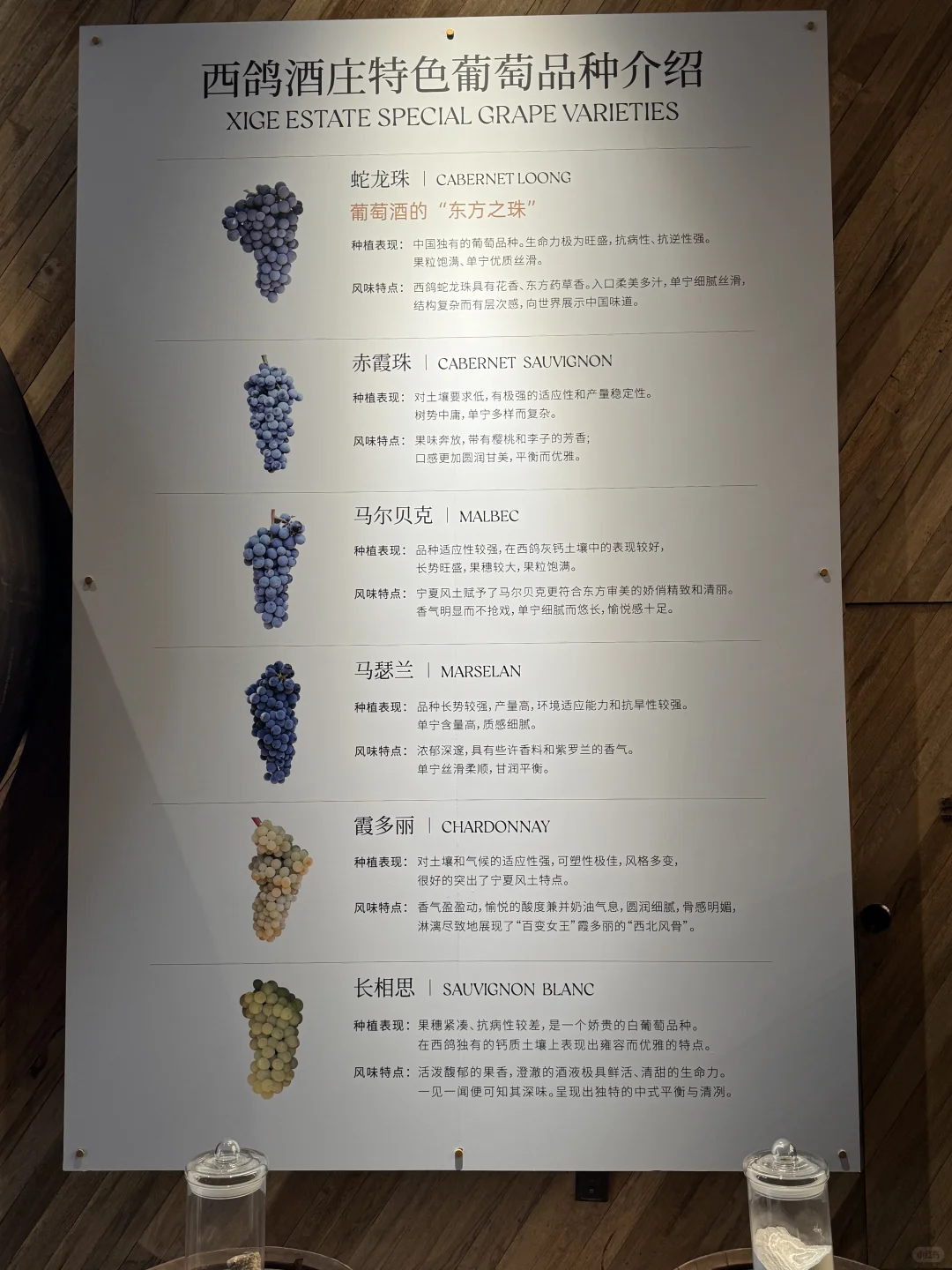 银川葡萄酒之旅 |西鸽酒庄 大气磅礴中式?