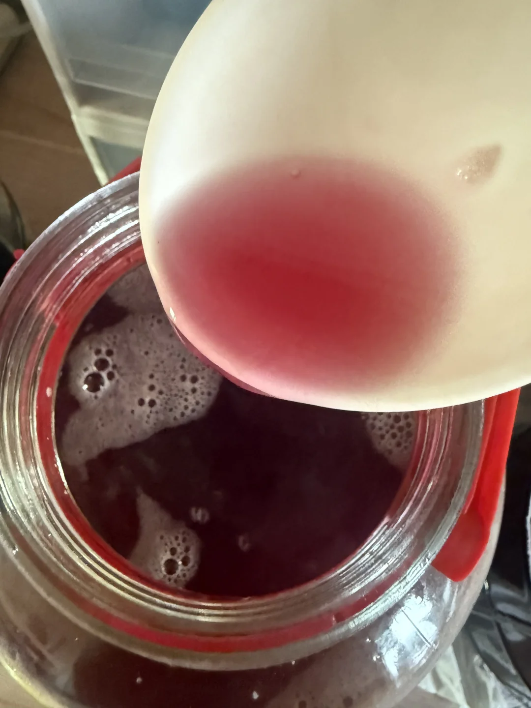 自酿葡萄酒｜第十六天发酵情况