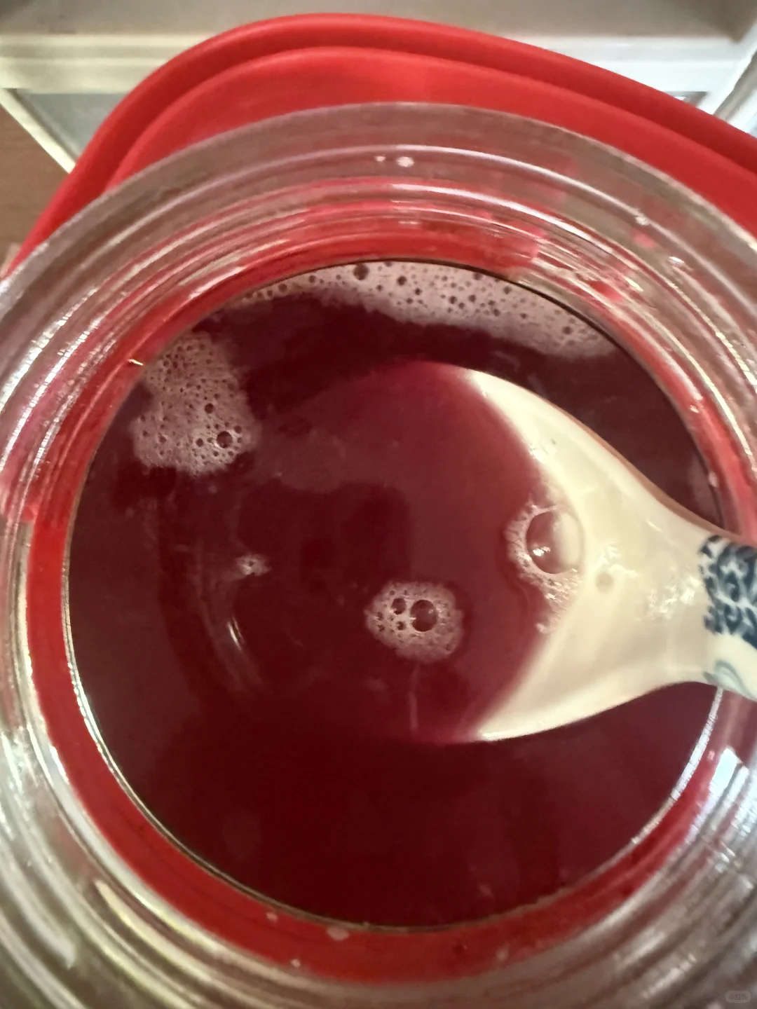 自酿葡萄酒｜第十六天发酵情况