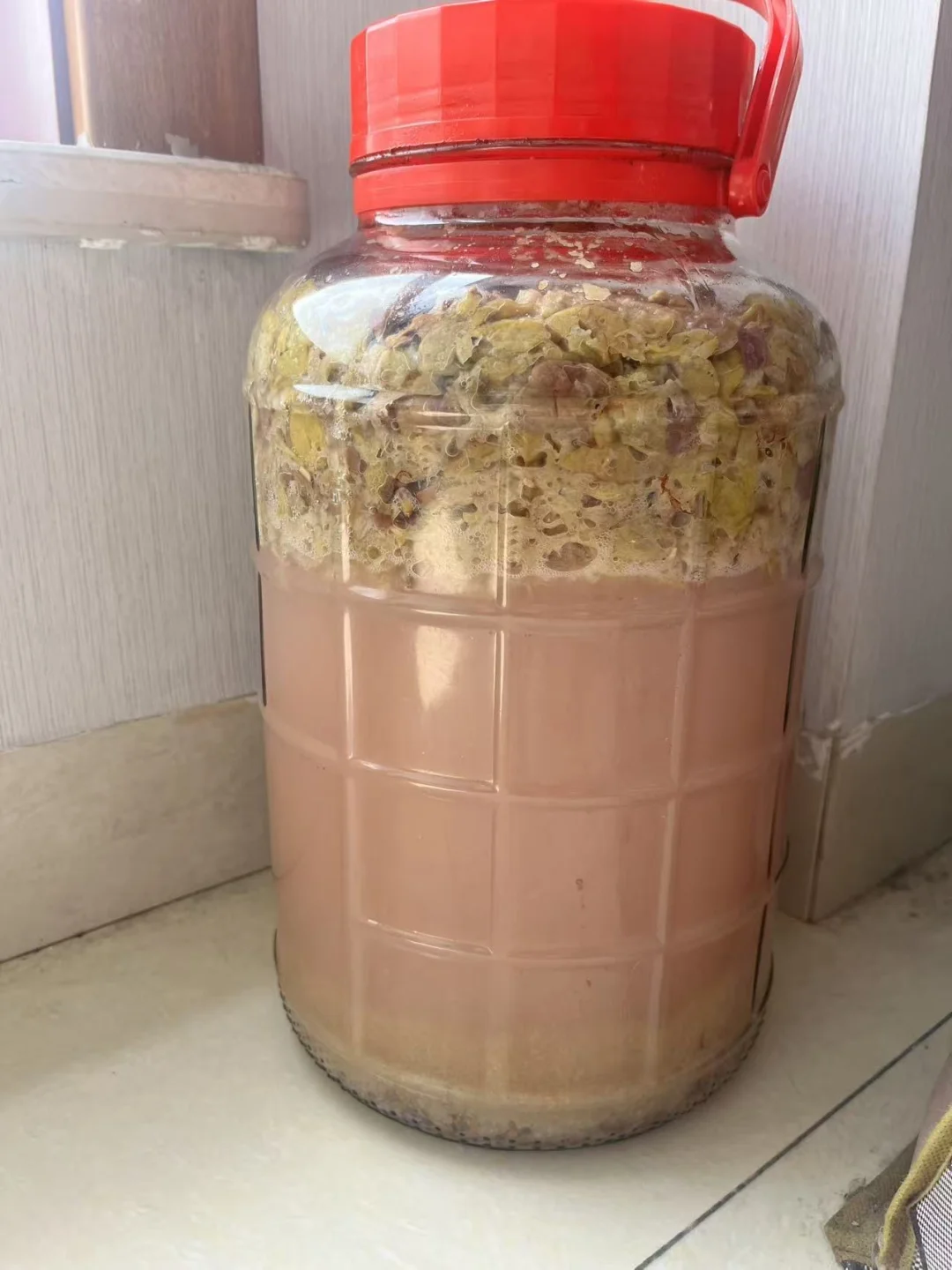 葡萄酒?自制