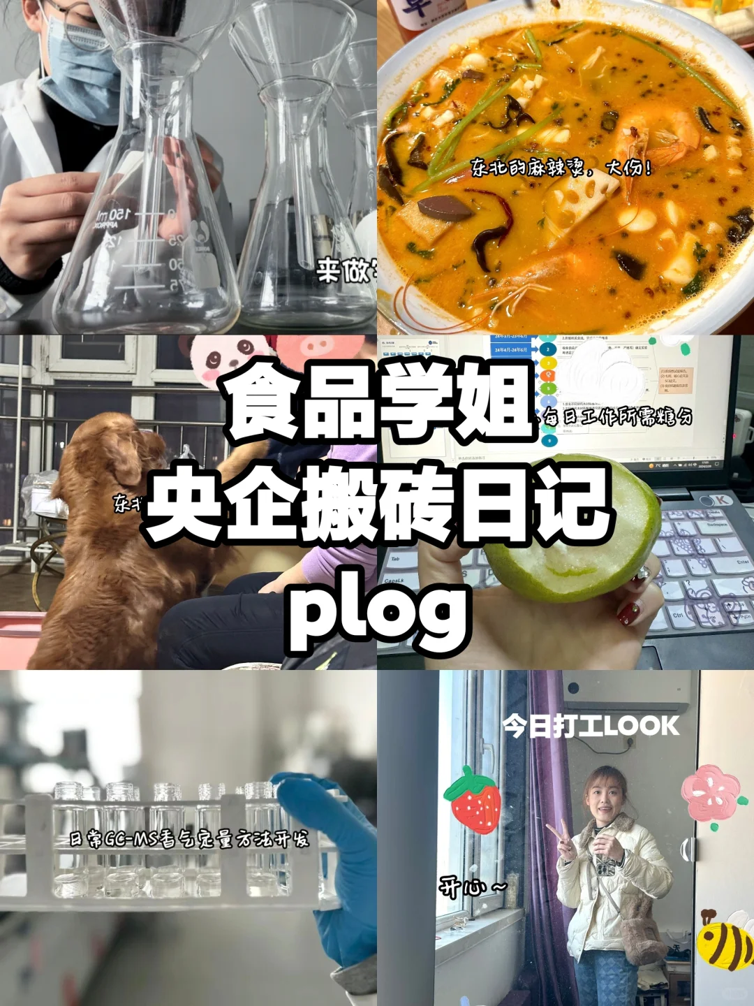 plog｜中国神仙<食品企业>有哪些⁉️