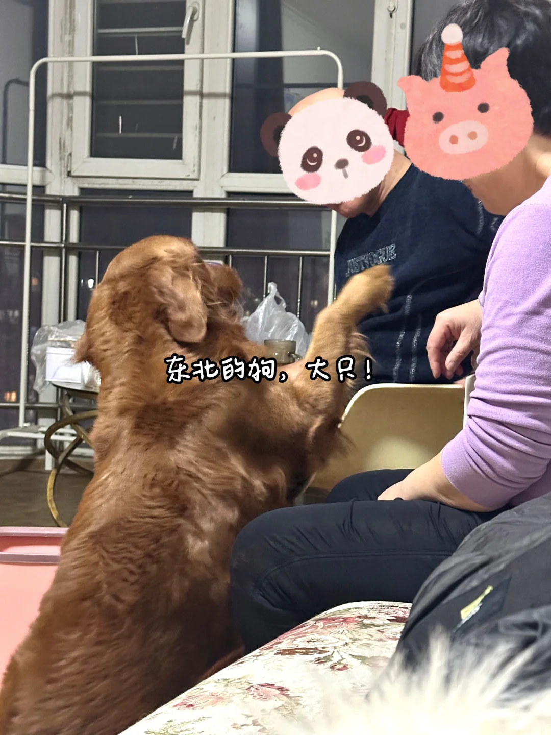 plog｜中国神仙<食品企业>有哪些⁉️