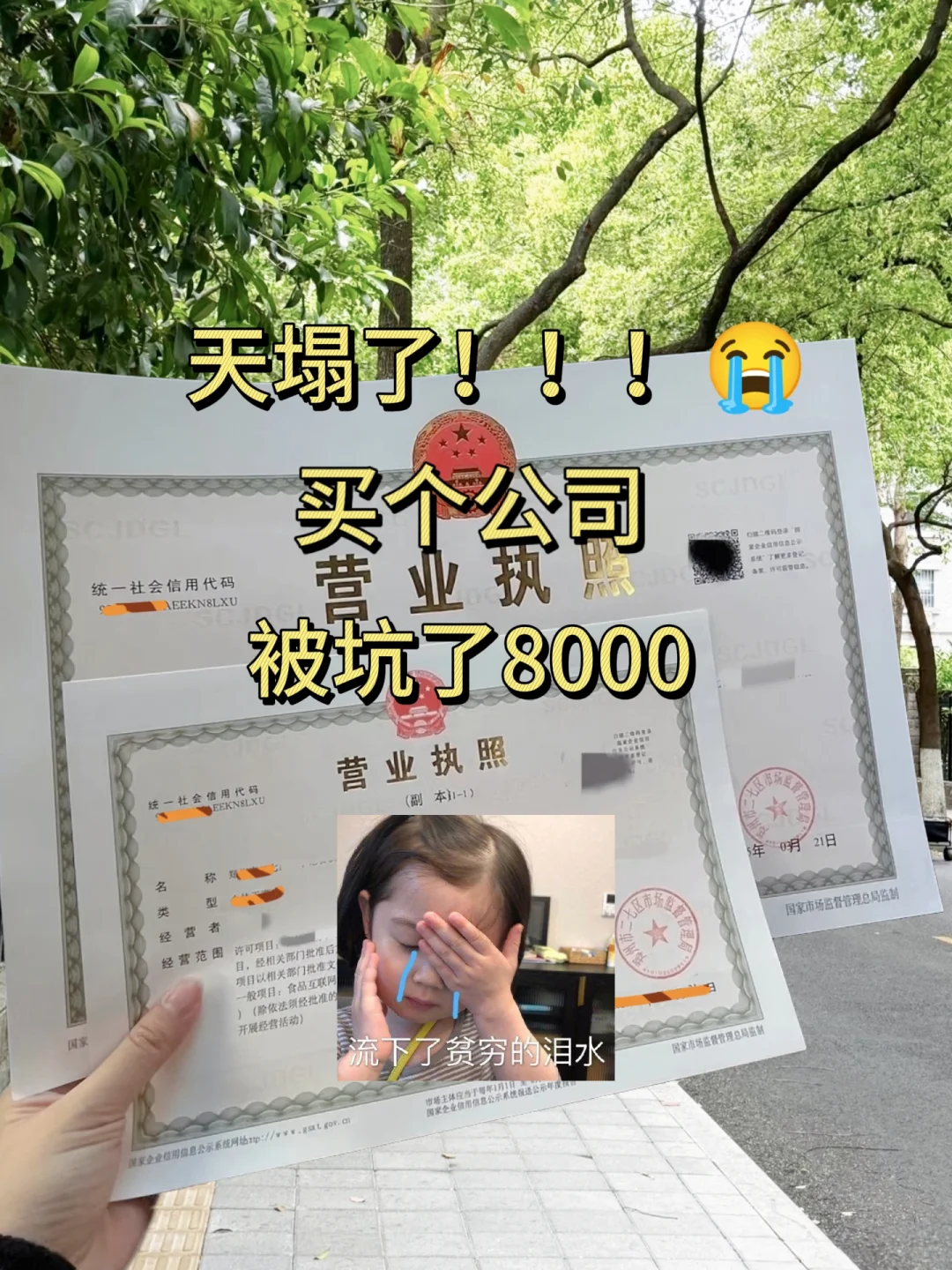 家人们天塌了！买公司被坑了8000