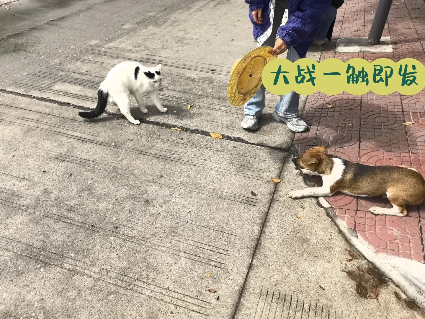 虽迟，但到