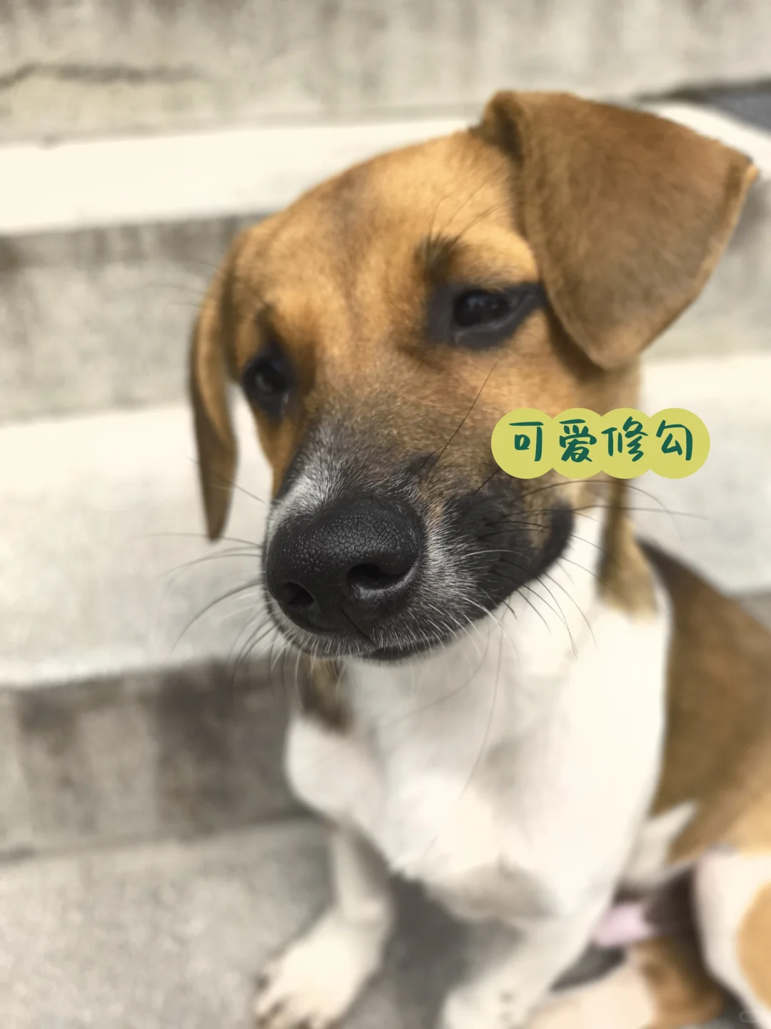 虽迟，但到