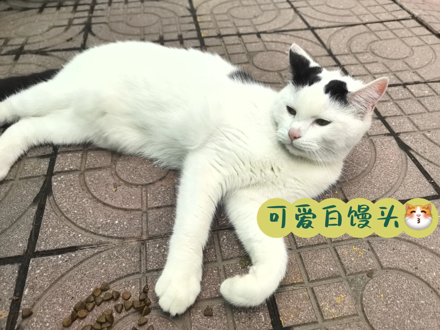 虽迟，但到