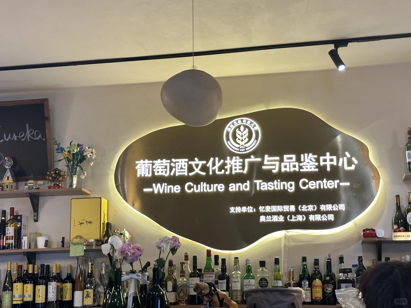 在西农免费喝葡萄酒的一天