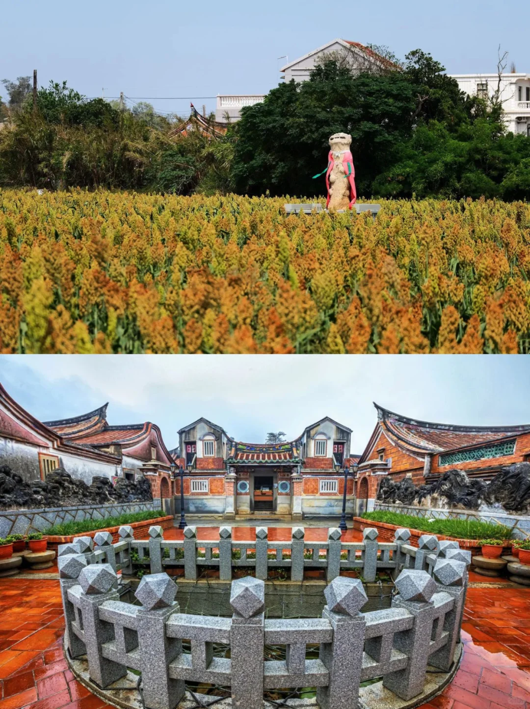 老酒市场现在怎么样?