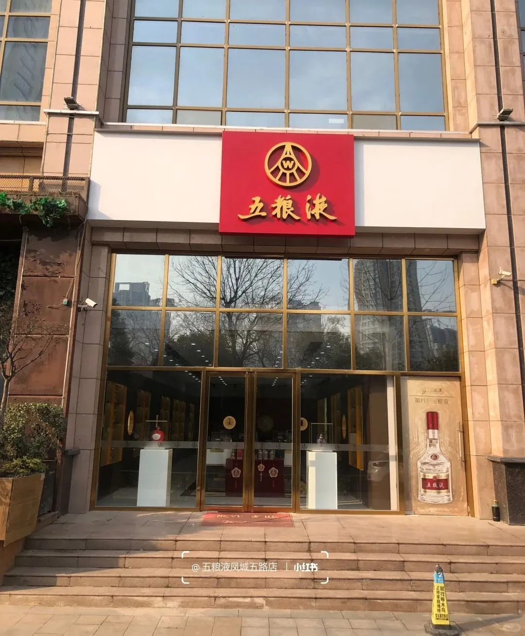 下一个风口就是五粮液专营店，你相信吗❓❓
