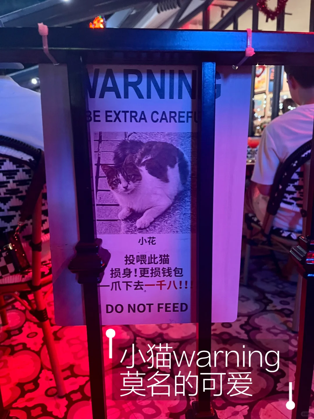 如果你愿意全球出差，出海岗位别错过！