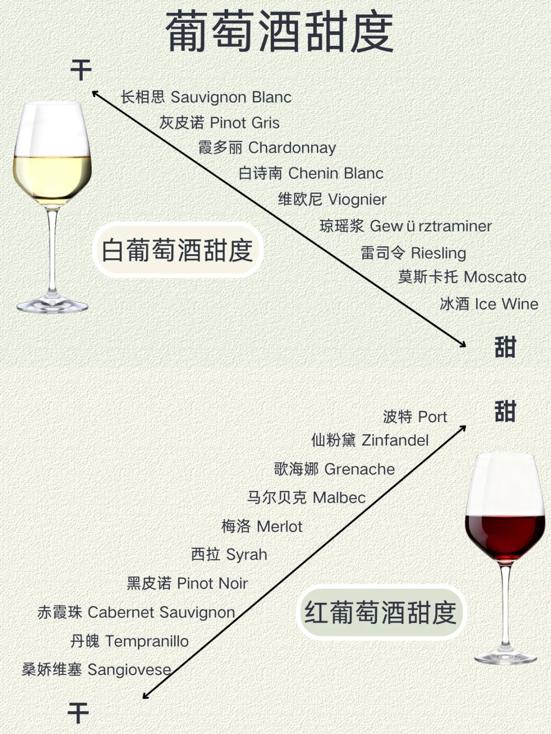吐血整理❗️小白葡萄酒入门必看