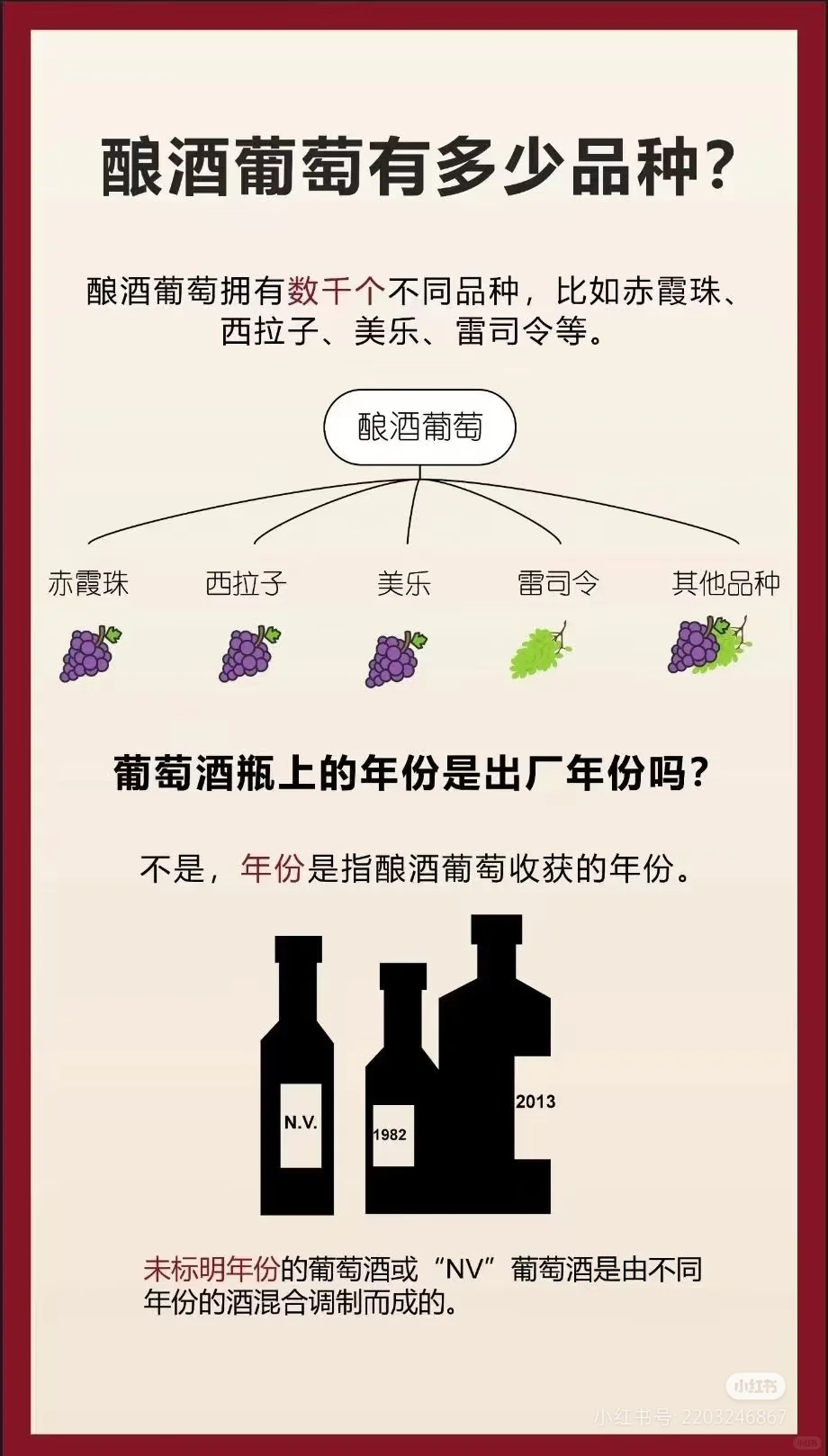 红酒知识推广