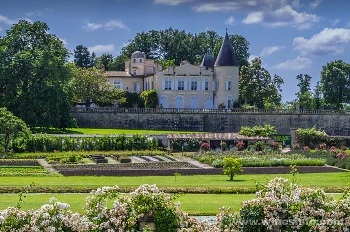 每天认识一款酒——拉菲红酒（Château Lafite-