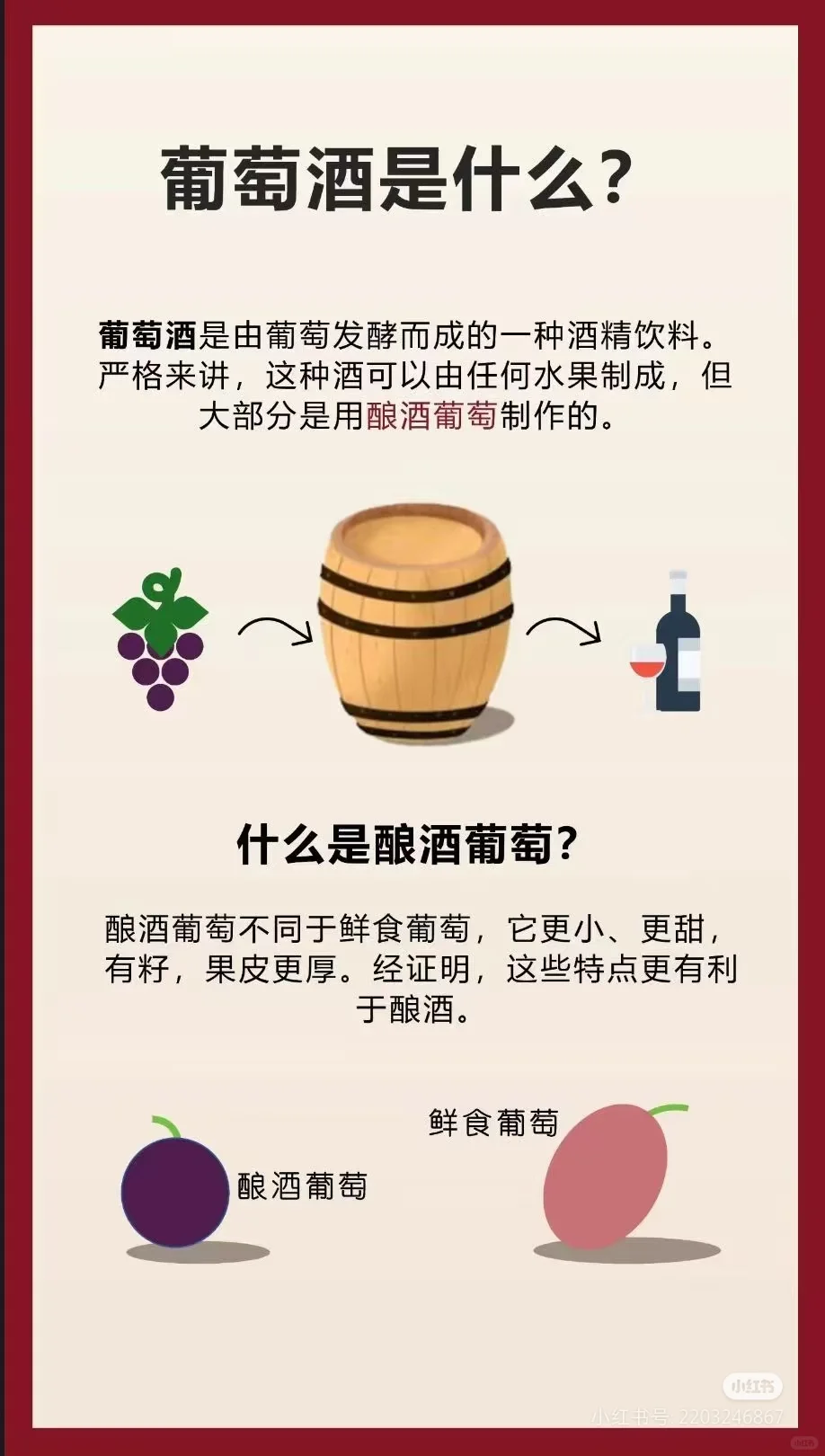 红酒知识推广