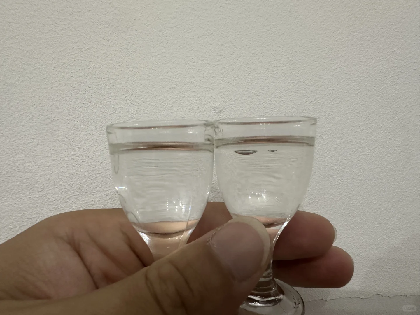 日常小酌之茅台紫迎宾对比国台国标