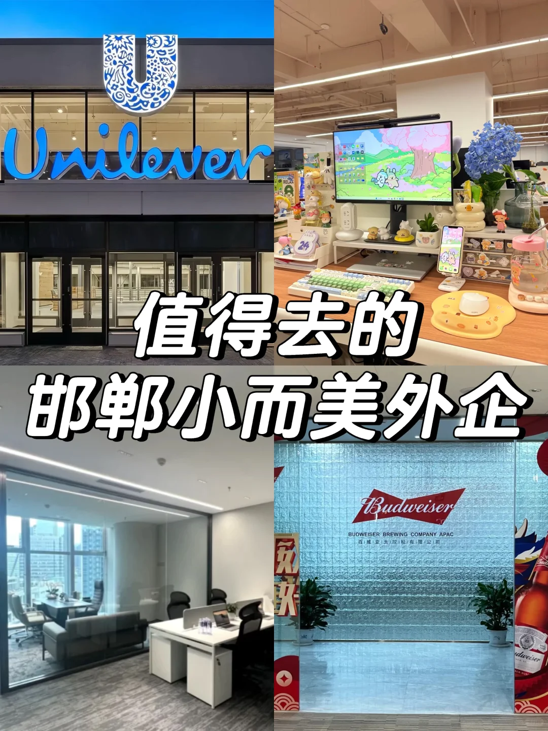 值得去的邯郸小而美外企