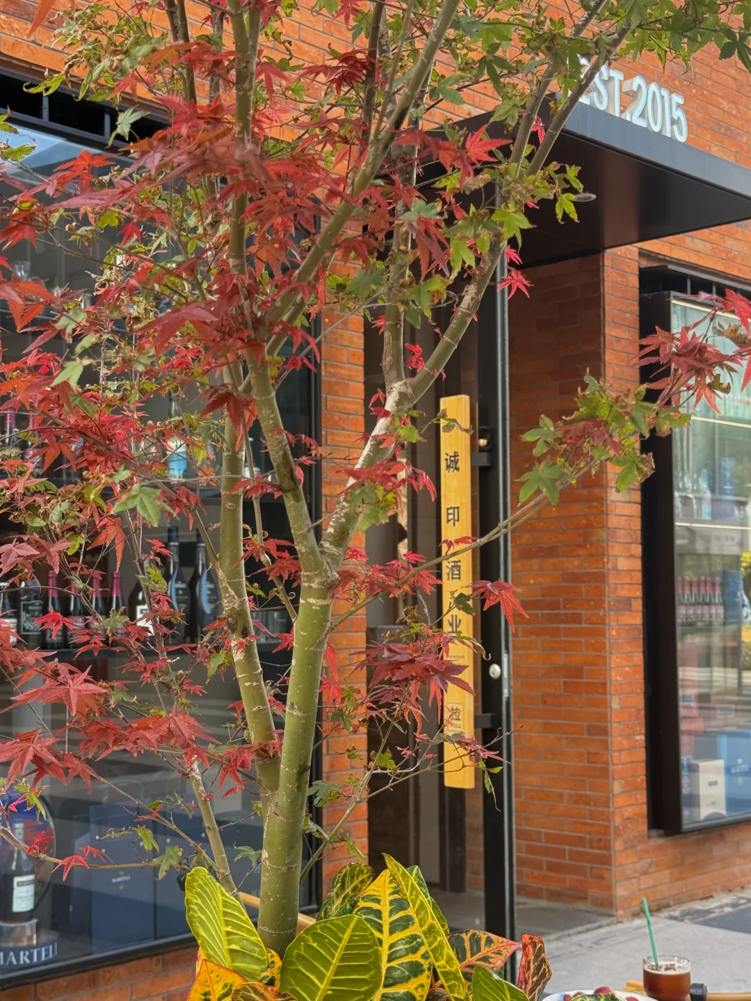 福州台江 | 一家好看的烟酒茶庄招人啦