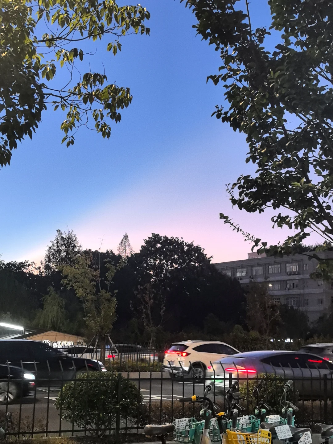 说真话：转行后的真实现状??‍♀️