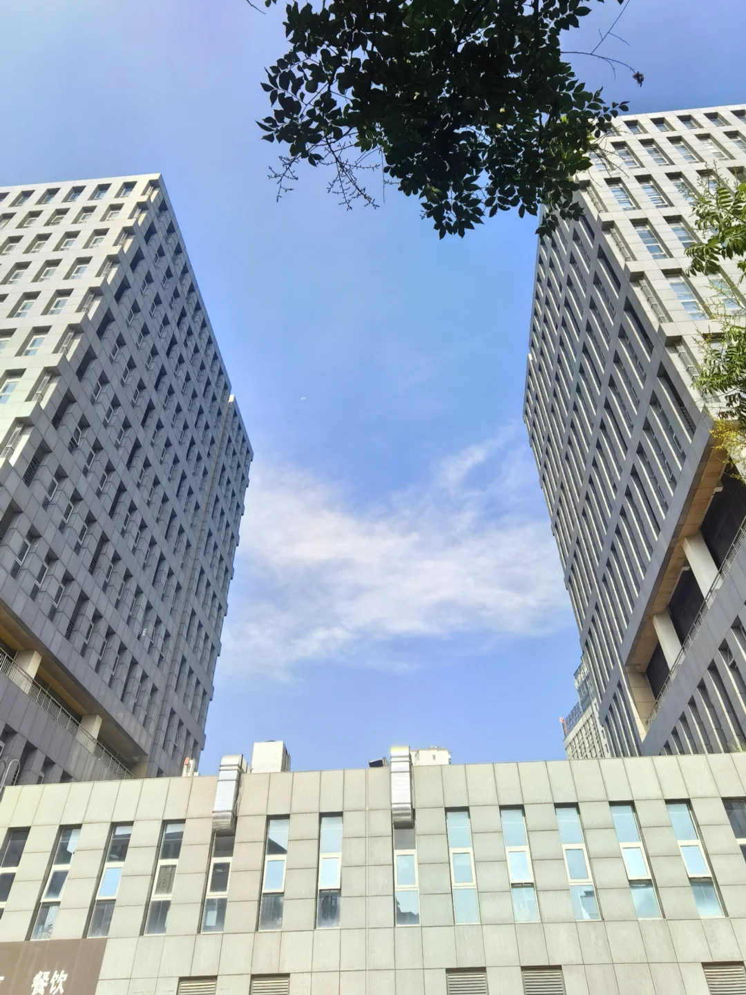 潍坊适合成长进步的神仙公司?亲测分享