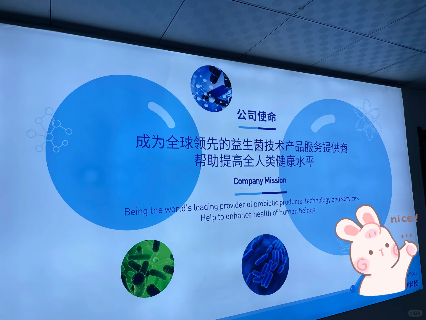 邯郸市邱县 食品产业集群