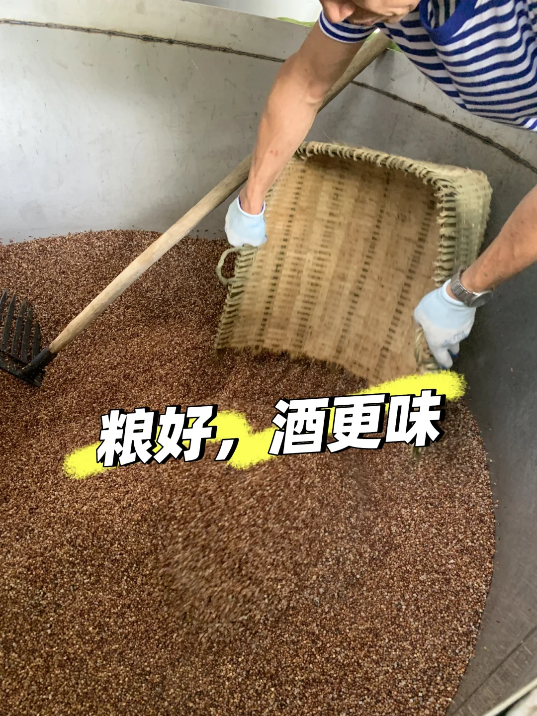 自家酿造纯粮酒??