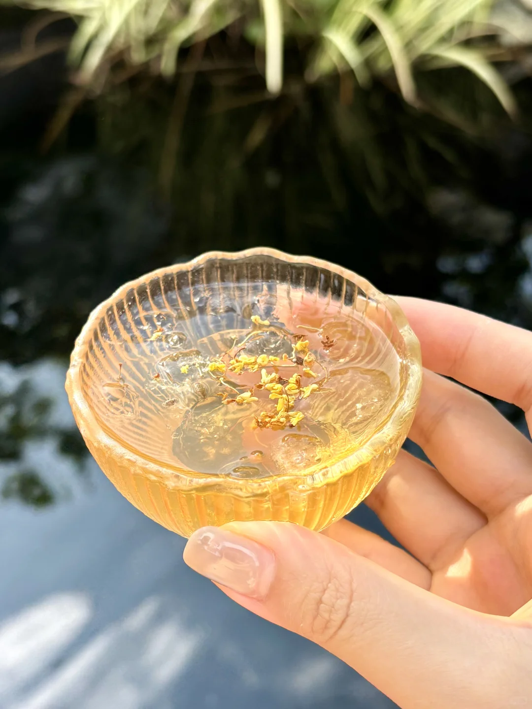 山东女婿中秋出战！