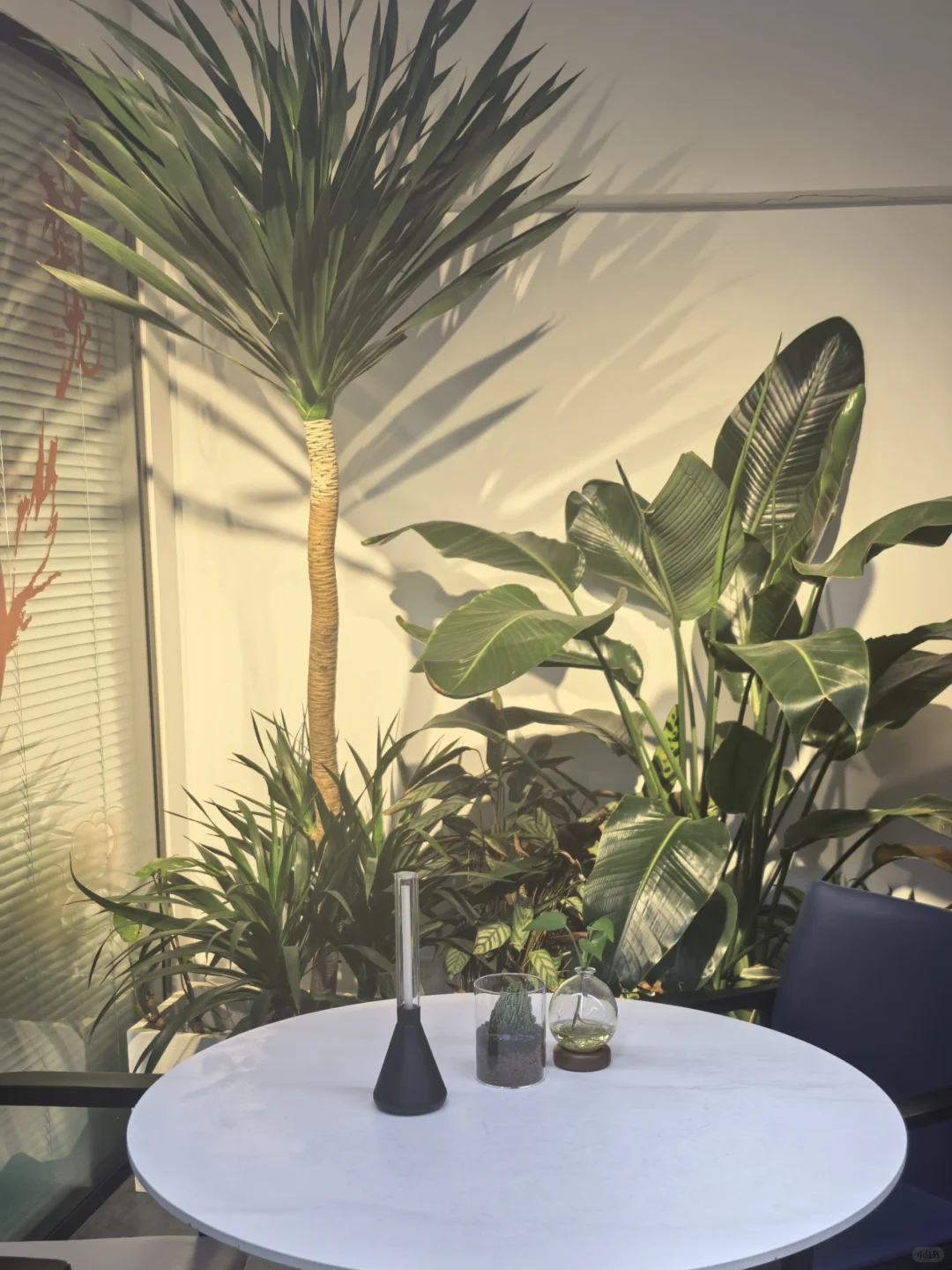 潍坊适合成长进步的神仙公司?亲测分享